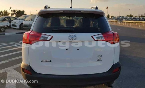 Buy Import Toyota RAV4 White Car in Import - Dubai in Enga Buy Import Toyota RAV4 White Car in Import - Dubai in Enga