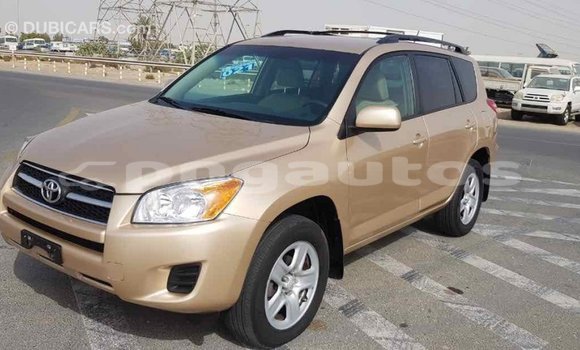 Buy Import Toyota RAV4 Other Car in Import - Dubai in Enga Buy Import Toyota RAV4 Other Car in Import - Dubai in Enga