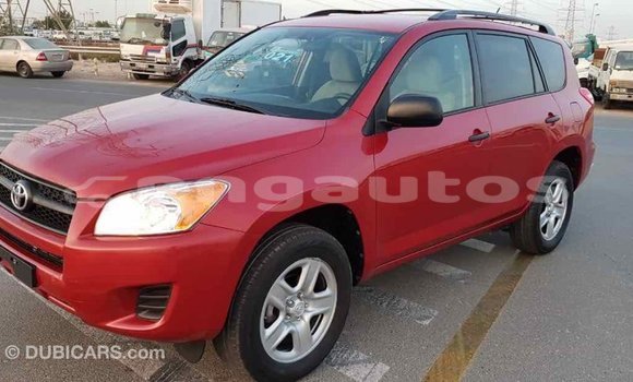 Buy Import Toyota RAV4 Red Car in Import - Dubai in Enga Buy Import Toyota RAV4 Red Car in Import - Dubai in Enga