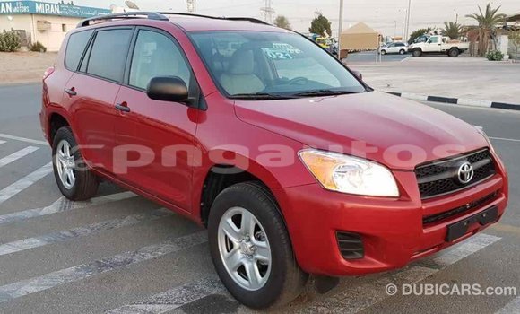 Buy Import Toyota RAV4 Red Car in Import - Dubai in Enga Buy Import Toyota RAV4 Red Car in Import - Dubai in Enga