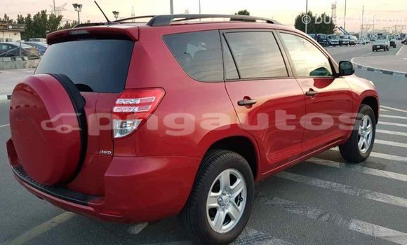 Buy Import Toyota RAV4 Red Car in Import - Dubai in Enga Buy Import Toyota RAV4 Red Car in Import - Dubai in Enga