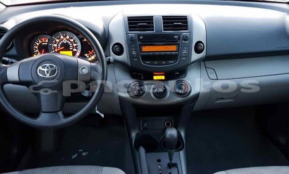 Buy Import Toyota RAV4 Red Car in Import - Dubai in Enga Buy Import Toyota RAV4 Red Car in Import - Dubai in Enga