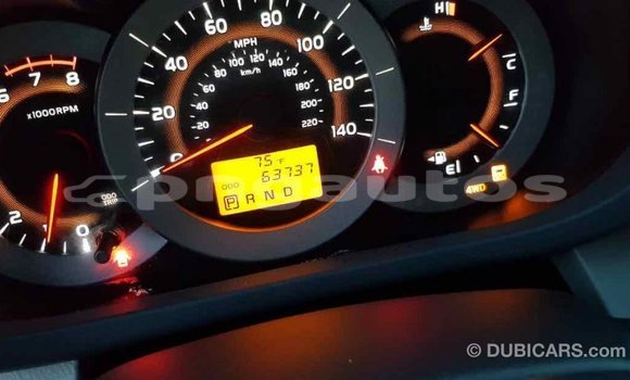 Buy Import Toyota RAV4 Red Car in Import - Dubai in Enga Buy Import Toyota RAV4 Red Car in Import - Dubai in Enga