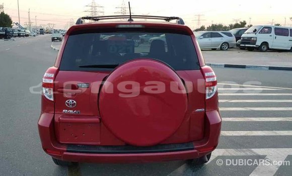 Buy Import Toyota RAV4 Red Car in Import - Dubai in Enga Buy Import Toyota RAV4 Red Car in Import - Dubai in Enga