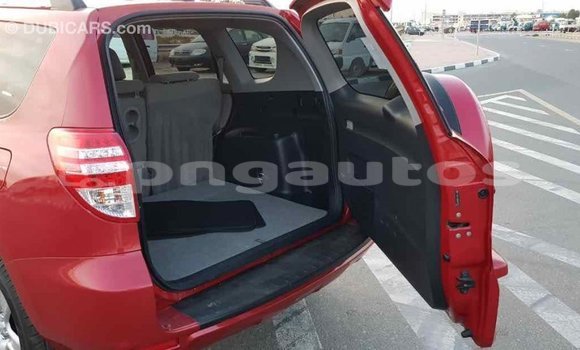 Buy Import Toyota RAV4 Red Car in Import - Dubai in Enga Buy Import Toyota RAV4 Red Car in Import - Dubai in Enga
