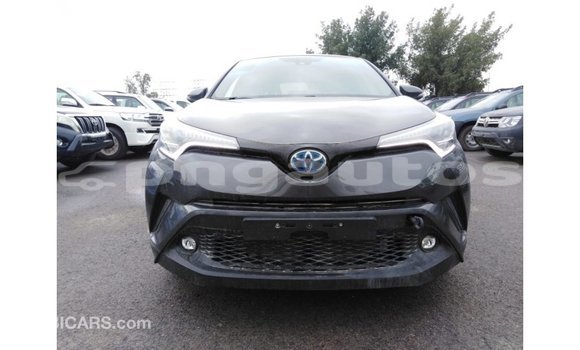 Buy Import Toyota C-HR Other Car in Import - Dubai in Enga Buy Import Toyota C-HR Other Car in Import - Dubai in Enga