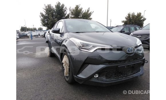 Buy Import Toyota C-HR Other Car in Import - Dubai in Enga Buy Import Toyota C-HR Other Car in Import - Dubai in Enga
