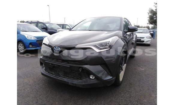 Buy Import Toyota C-HR Other Car in Import - Dubai in Enga Buy Import Toyota C-HR Other Car in Import - Dubai in Enga