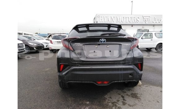 Buy Import Toyota C-HR Other Car in Import - Dubai in Enga Buy Import Toyota C-HR Other Car in Import - Dubai in Enga