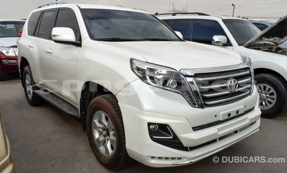 Buy Import Toyota Prado White Car in Import - Dubai in Enga Buy Import Toyota Prado White Car in Import - Dubai in Enga