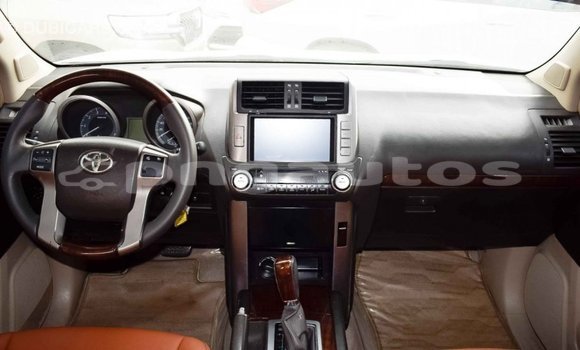Buy Import Toyota Prado White Car in Import - Dubai in Enga Buy Import Toyota Prado White Car in Import - Dubai in Enga