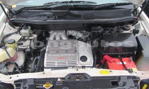 Buy Used Toyota LEXUSHARRIER Other Car in Kundiawa in Simbu Buy Used Toyota LEXUSHARRIER Other Car in Kundiawa in Simbu