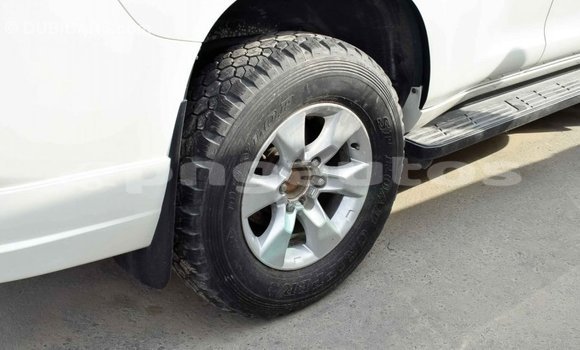 Buy Import Toyota Prado White Car in Import - Dubai in Enga Buy Import Toyota Prado White Car in Import - Dubai in Enga