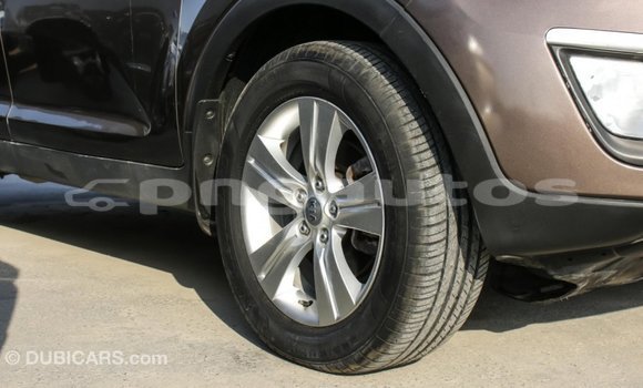 Buy Import Kia Sportage Brown Car in Import - Dubai in Enga