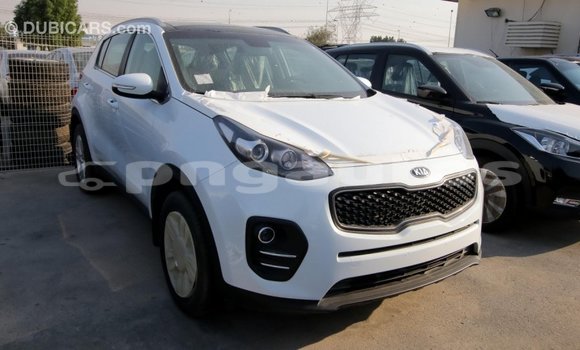 Buy Import Kia Sportage White Car in Import - Dubai in Enga Buy Import Kia Sportage White Car in Import - Dubai in Enga