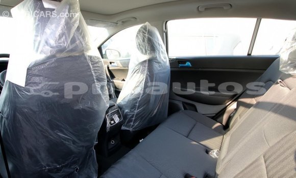 Buy Import Kia Sportage White Car in Import - Dubai in Enga Buy Import Kia Sportage White Car in Import - Dubai in Enga