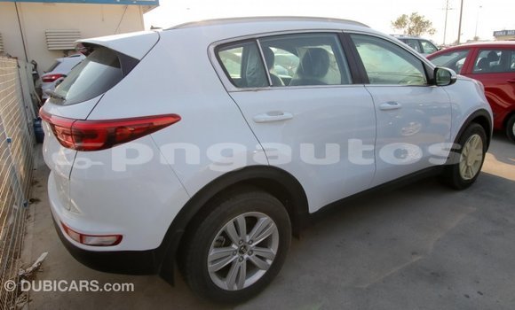 Buy Import Kia Sportage White Car in Import - Dubai in Enga Buy Import Kia Sportage White Car in Import - Dubai in Enga