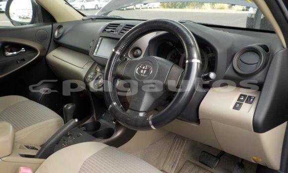 Buy Used Toyota Vanguard Other Car in Port Moresby in National Capital District Buy Used Toyota Vanguard Other Car in Port Moresby in National Capital District