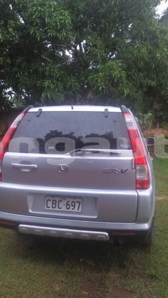 Big with watermark 56340127 630357470743495 5588150410880745472 n