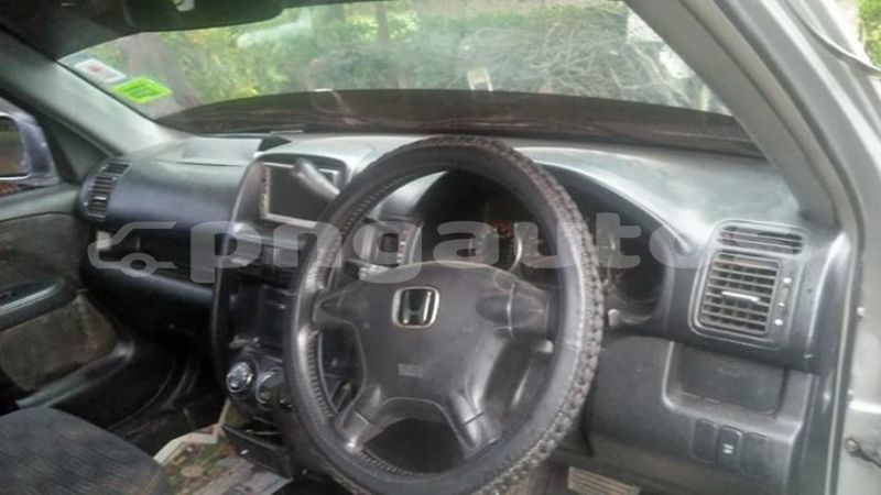 Big with watermark 55551888 630357450743497 2729686548239876096 n