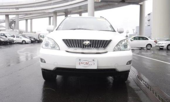 Buy Import Toyota Harrier White Car in Port Moresby in National Capital District Buy Import Toyota Harrier White Car in Port Moresby in National Capital District