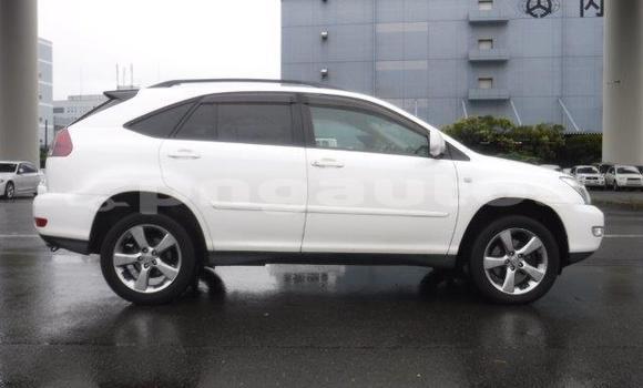 Buy Import Toyota Harrier White Car in Port Moresby in National Capital District Buy Import Toyota Harrier White Car in Port Moresby in National Capital District