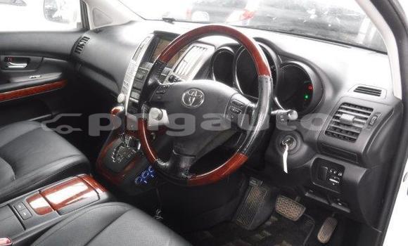 Buy Import Toyota Harrier White Car in Port Moresby in National Capital District Buy Import Toyota Harrier White Car in Port Moresby in National Capital District
