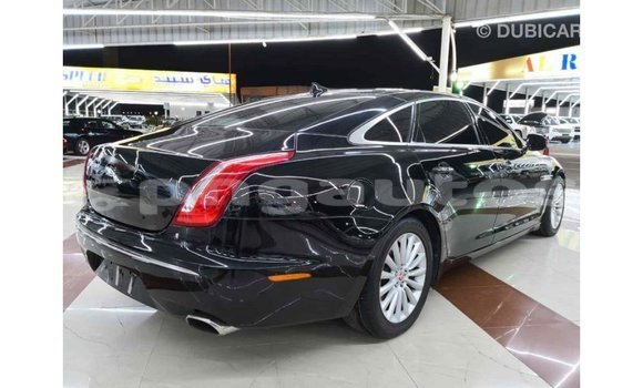 Buy Import Jaguar XJ Black Car in Import - Dubai in Enga Buy Import Jaguar XJ Black Car in Import - Dubai in Enga