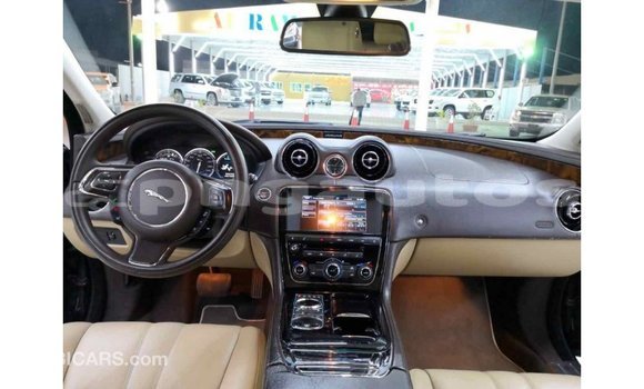 Buy Import Jaguar XJ Black Car in Import - Dubai in Enga Buy Import Jaguar XJ Black Car in Import - Dubai in Enga