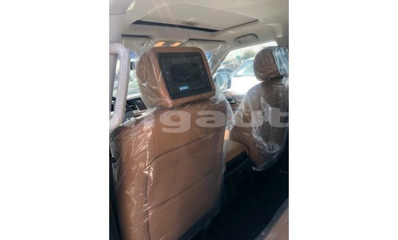 Buy Import Nissan Patrol White Car in Import - Dubai in Enga Buy Import Nissan Patrol White Car in Import - Dubai in Enga
