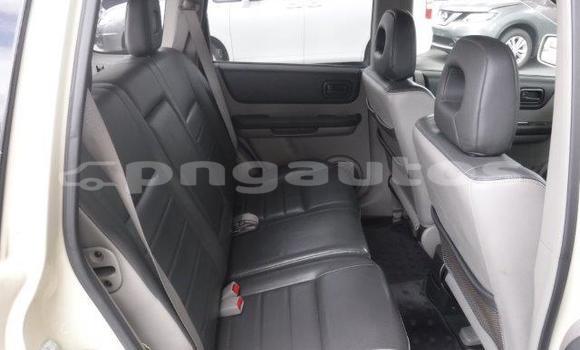 Buy Import Nissan XβTrail Beige Car in Port Moresby in National Capital District Buy Import Nissan XβTrail Beige Car in Port Moresby in National Capital District