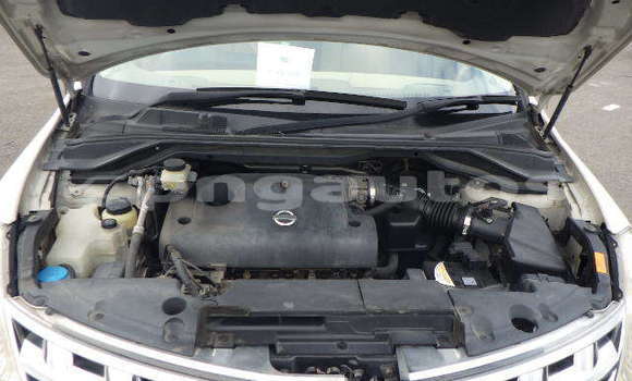 Buy Import Nissan Murano White Car in Port Moresby in National Capital District Buy Import Nissan Murano White Car in Port Moresby in National Capital District