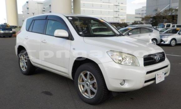 Buy Import Toyota RAV4 White Car in Port Moresby in National Capital District Buy Import Toyota RAV4 White Car in Port Moresby in National Capital District
