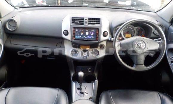 Buy Import Toyota RAV4 White Car in Port Moresby in National Capital District Buy Import Toyota RAV4 White Car in Port Moresby in National Capital District