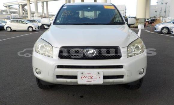 Buy Import Toyota RAV4 White Car in Port Moresby in National Capital District Buy Import Toyota RAV4 White Car in Port Moresby in National Capital District