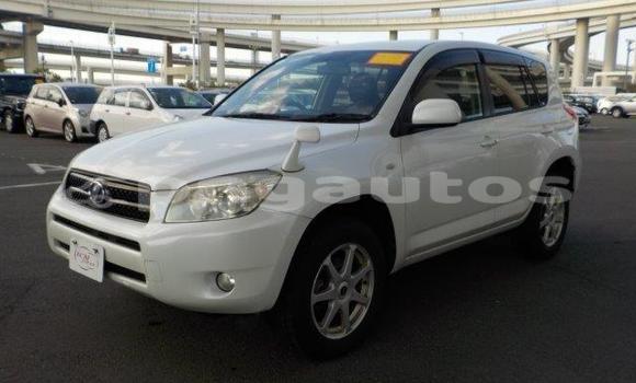 Buy Import Toyota RAV4 White Car in Port Moresby in National Capital District Buy Import Toyota RAV4 White Car in Port Moresby in National Capital District