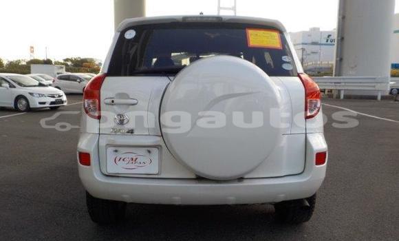 Buy Import Toyota RAV4 White Car in Port Moresby in National Capital District Buy Import Toyota RAV4 White Car in Port Moresby in National Capital District