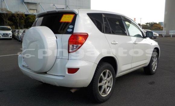 Buy Import Toyota RAV4 White Car in Port Moresby in National Capital District Buy Import Toyota RAV4 White Car in Port Moresby in National Capital District