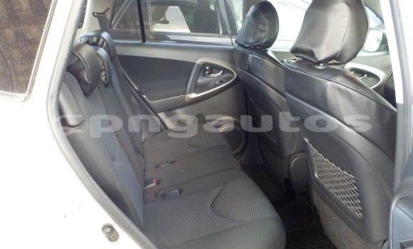 Buy Import Toyota RAV4 White Car in Port Moresby in National Capital District Buy Import Toyota RAV4 White Car in Port Moresby in National Capital District