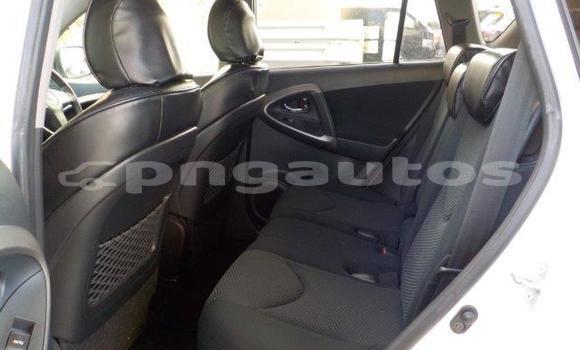 Buy Import Toyota RAV4 White Car in Port Moresby in National Capital District Buy Import Toyota RAV4 White Car in Port Moresby in National Capital District