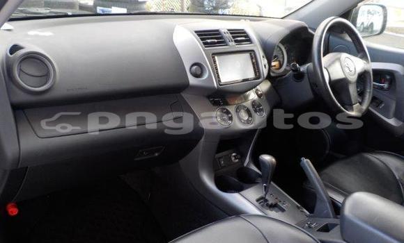 Buy Import Toyota RAV4 White Car in Port Moresby in National Capital District Buy Import Toyota RAV4 White Car in Port Moresby in National Capital District