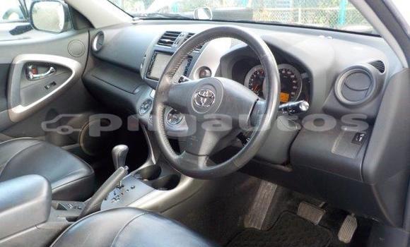 Buy Import Toyota RAV4 White Car in Port Moresby in National Capital District Buy Import Toyota RAV4 White Car in Port Moresby in National Capital District