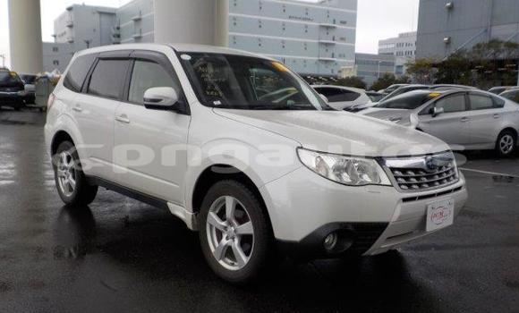 Buy Import Subaru Forester White Car in Port Moresby in National Capital District
