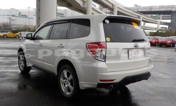Buy Import Subaru Forester White Car in Port Moresby in National Capital District Buy Import Subaru Forester White Car in Port Moresby in National Capital District