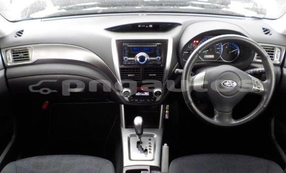 Buy Import Subaru Forester White Car in Port Moresby in National Capital District Buy Import Subaru Forester White Car in Port Moresby in National Capital District