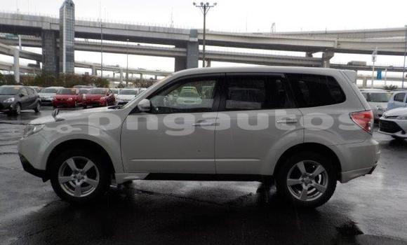 Buy Import Subaru Forester White Car in Port Moresby in National Capital District Buy Import Subaru Forester White Car in Port Moresby in National Capital District