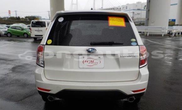 Buy Import Subaru Forester White Car in Port Moresby in National Capital District Buy Import Subaru Forester White Car in Port Moresby in National Capital District