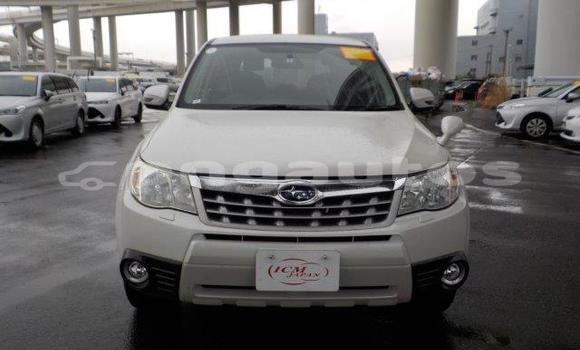 Buy Import Subaru Forester White Car in Port Moresby in National Capital District Buy Import Subaru Forester White Car in Port Moresby in National Capital District