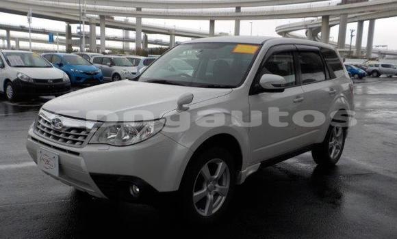 Buy Import Subaru Forester White Car in Port Moresby in National Capital District Buy Import Subaru Forester White Car in Port Moresby in National Capital District