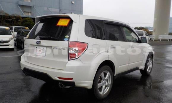 Buy Import Subaru Forester White Car in Port Moresby in National Capital District Buy Import Subaru Forester White Car in Port Moresby in National Capital District